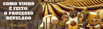 como o vinho é feito o processo revelado